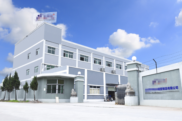 恭喜深圳市**硅橡胶制品有限公司通过SEDEX-2P&ISO9001认证