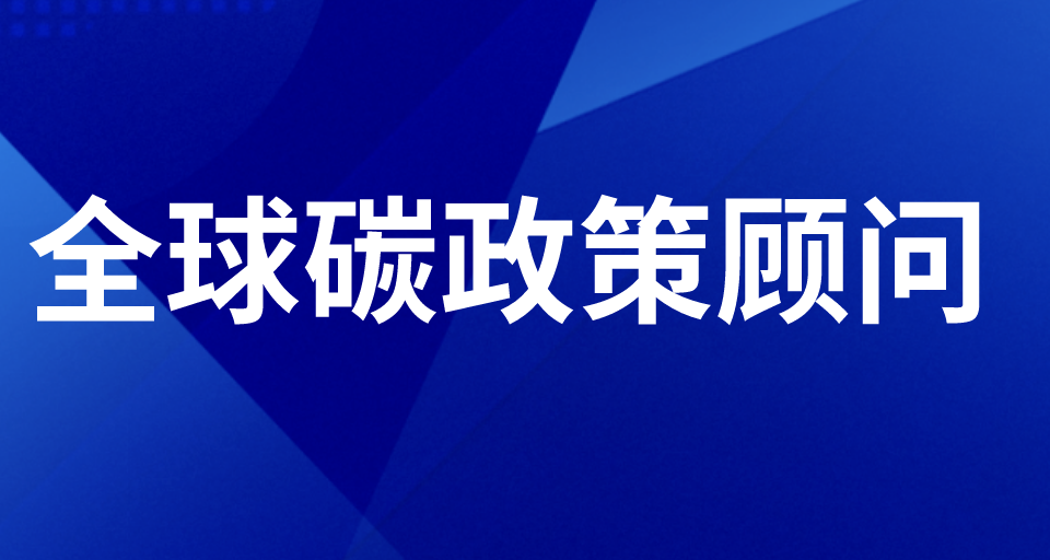 全球碳政策顾问