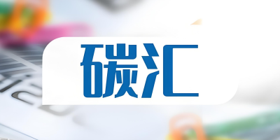 什么是碳汇？