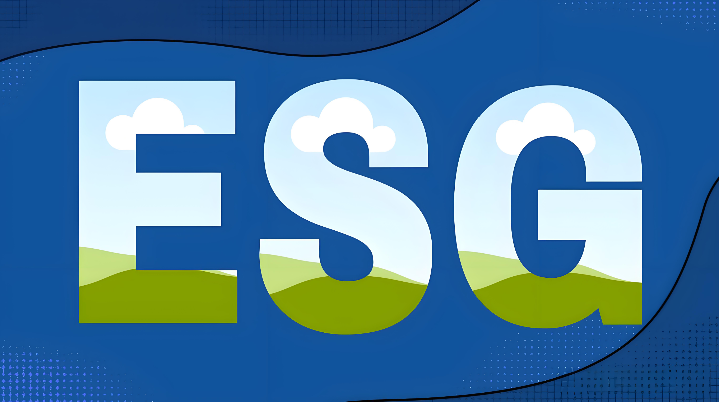 可持续发展报告的历史